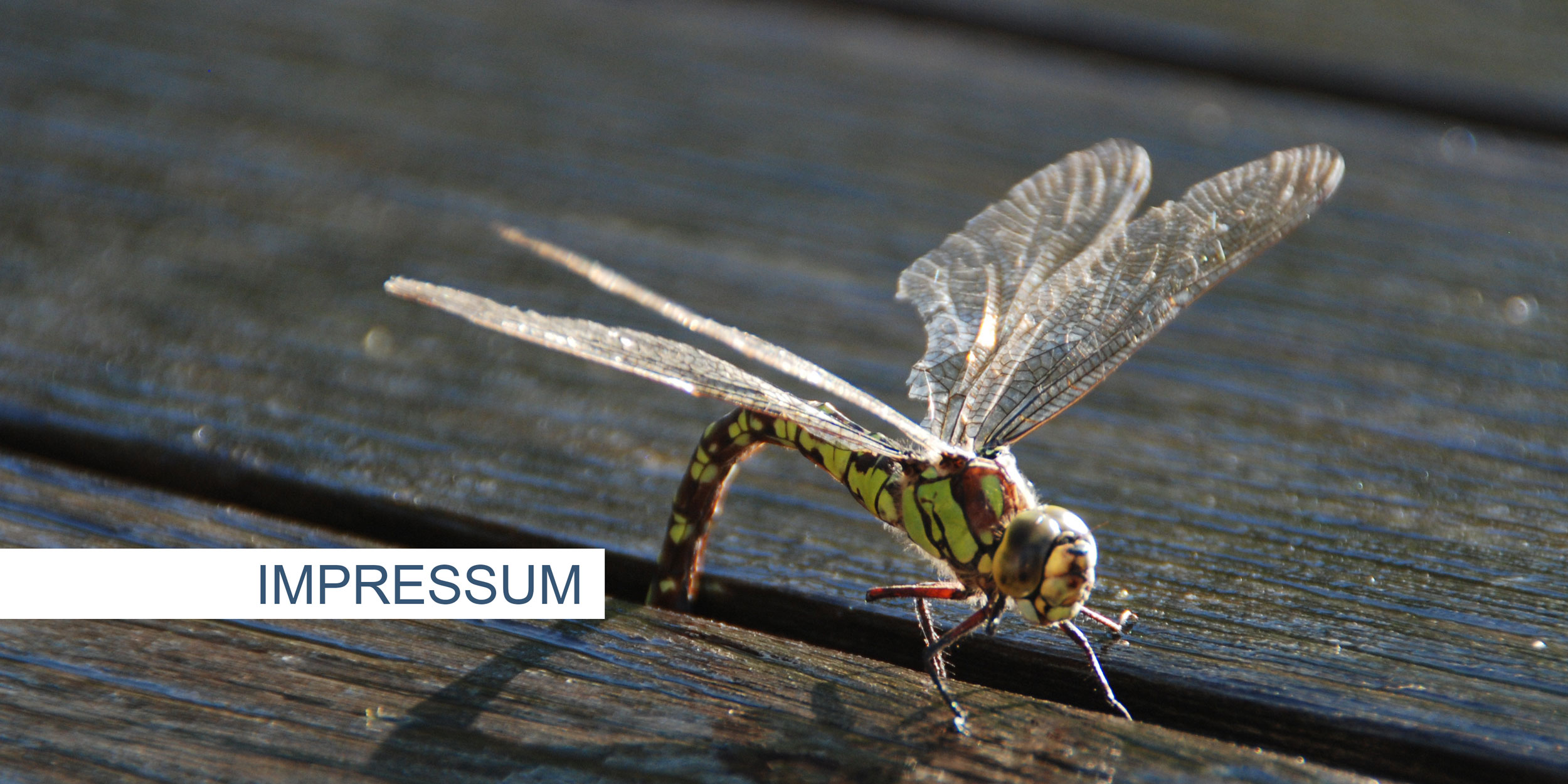 Impressum